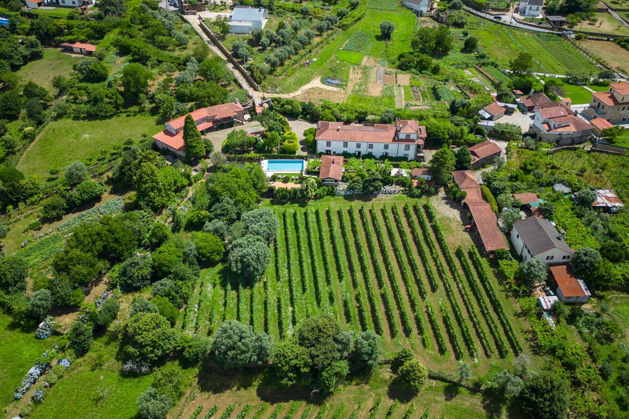 Quinta Da Aldeia Pensionat Ponte de Lima Eksteriør billede