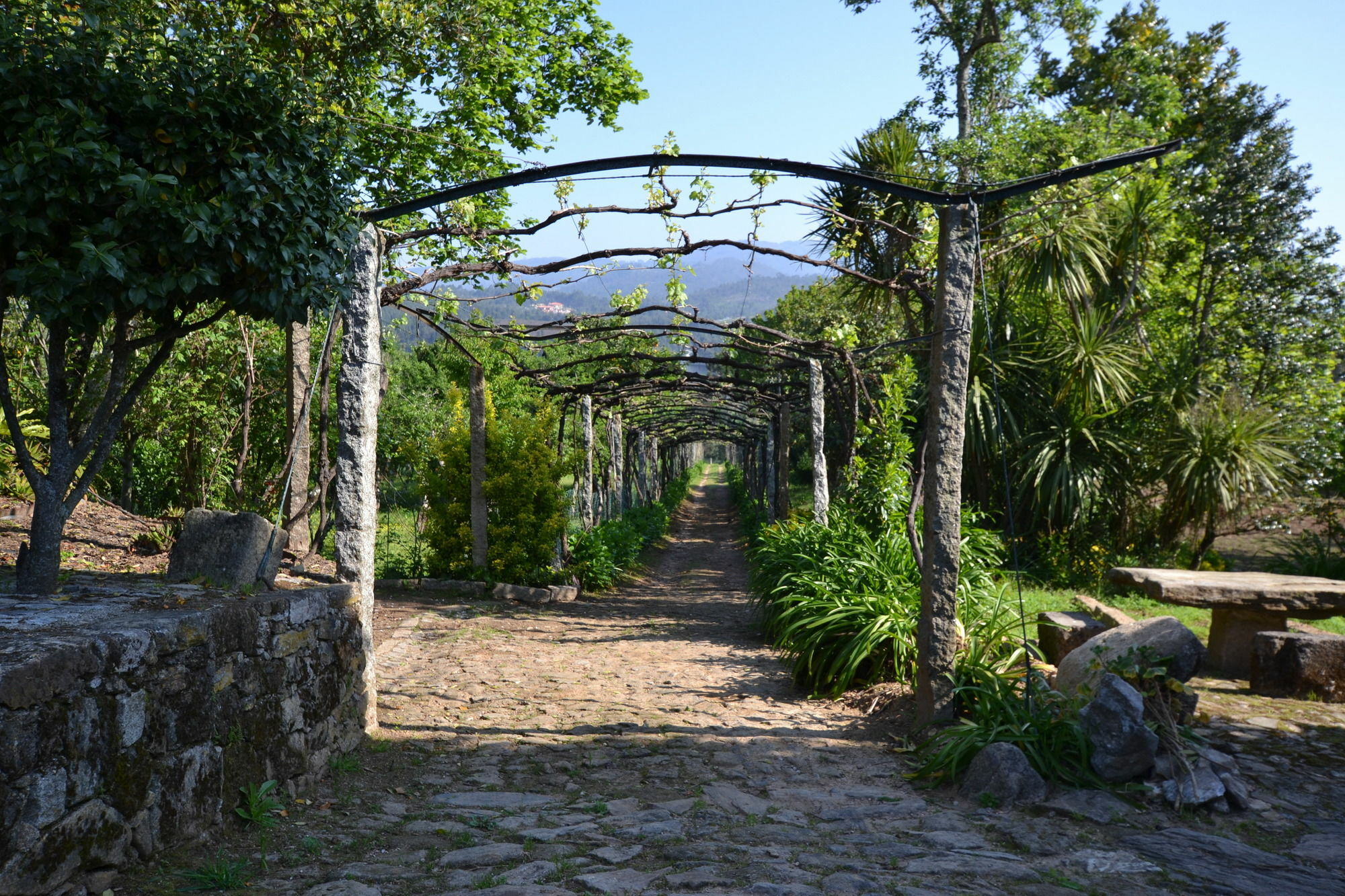 Quinta Da Aldeia Pensionat Ponte de Lima Eksteriør billede